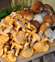 Naturélium - Panier forestier cèpes et girolles sauvages frais – 500 g de chaque (1 kg)