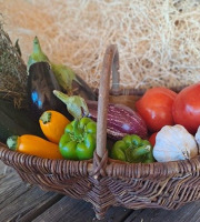 Les Jardins de Gérard - Panier ratatouille Bio - 6 personnes