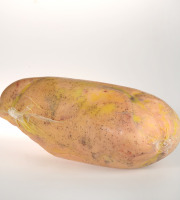 MONTAUZER - Foie Gras De Canard entier Mi Cuit Poché 440g