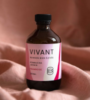 Vivant Kombucha - Kombucha Thé vert Jasmin Framboise Bio x12