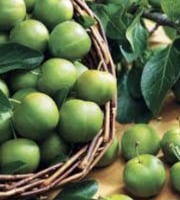 L’Oliveraie du Coudon - PRUNES REINE CLAUDE 5KG