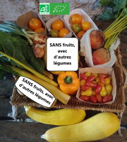 LES JARDINS DE KARINE - PANIER modulable / Légumes bio JAUNE ORANGE
