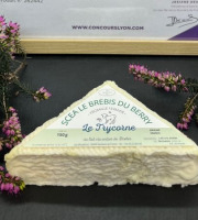 SCEA Brebis du Berry - Le trycorne