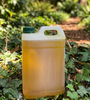 L'OLIVERAIE DU COUDON - Huile de tournesol vierge BIO bidon 5l