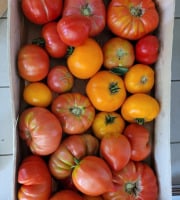 La Coussoyote - mélange de tomates ancienne sans traitement ( promo de rentrée !!)