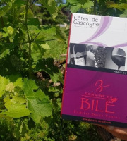 Domaine de Bilé - Fontaine à Vin BIB Rosé - Vin IGP Côtes de Gascogne - 5 Litres