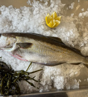 Brest Marée - Lieu Jaune  entier - pièce de 1kg