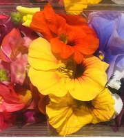 Midiflore - Fleurs comestibles Mix de saison 30g