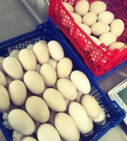 Des Poules et des Vignes à Bourgueil - 20 Œufs d’oie