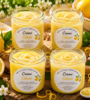 Gaec de l'Elanion - Crème Citron x4