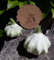 Ferme de Cernunnos - Jeunes Pâtissons (1kg)