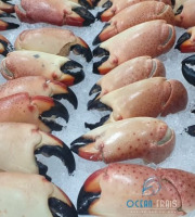 Ocean Frais - Pinces de Tourteau cuites - lot de 500gr