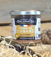 Terre de Gallie - Terrine de canard saveur préfou x 20