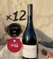 Domaine de la Chopinière du Roy - PROMO 20 % - 12 bouteilles de Sous la robe 2022 vin rouge Saint Nicolas de Bourgueil - 12 x 75 cl