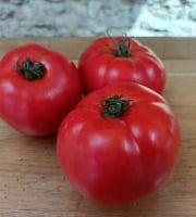 Aux Jardins des Colibris - 1 kg Tomates rondes Bio