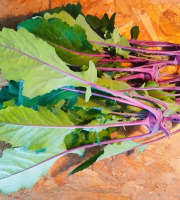 Nature et Saveurs - Ferme Aquaponique et Permacole Astérienne - Mini chou-rave violet - 5 pièces