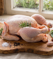 Terres de Bon Sens - Poulet BIO medium env 1,9kg