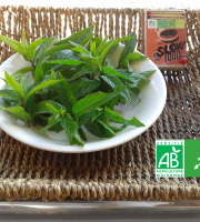 LES JARDINS DE KARINE - Menthe douce fraîche - 25g