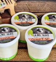 La Bel'glace - Pack glaces familial 4x1L