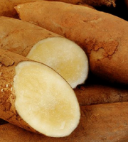 Le Châtaignier - Poire de terre - 500g