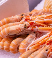 Poissonnerie Paon - Langoustines glacées 20/30 : Lot de 1 kg