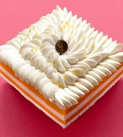 GT Designer Glacier - Vacherin Mangue Passion