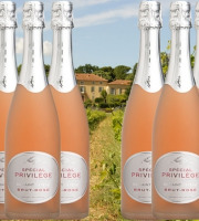 Château Saint Estève d'Uchaux - Brut Rosé BIO Méthode Traditionnelle x6