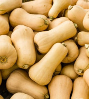 La Ferme de Milly - Anjou - Courge butternut 10kg
