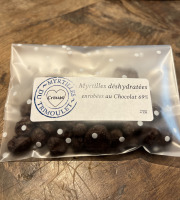 Myrtilles du Trimoulet - Myrtilles séchées enrobées au chocolat 69% - Sachet 25g