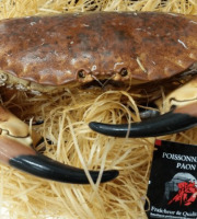 Poissonnerie Paon - Crabe Tourteau Vivant : A la pièce, 600 g - 800 g