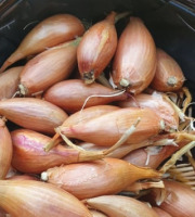 La Ferme de Milly - Anjou - colis-echalotes-10kg-BIO