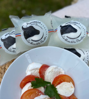 L’Echo Paysan - Mozzarella de bufflonne - 210g