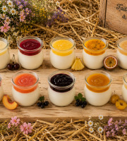 Gaec de l'Elanion - Lot De 16 Yaourts mélangé 2 - 2kg