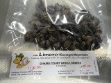 Limero l'Escargot Mayennais - Chairs D'escargot Helix Aspersa Frais Parées Totalement - 10 sachet de 120