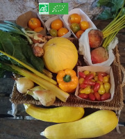 LES JARDINS DE KARINE - PANIER modulable / Fruits et Légumes bio JAUNE ORANGE