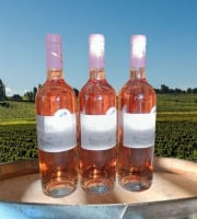 Château Haut-Lamouthe - Bergerac Rosé AOC - 3x75cl