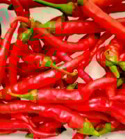 Nature et Saveurs - Ferme Aquaponique et Permacole Astérienne - Piment de Cayenne – Allongé, ardent et plein de caractère