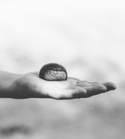 Mademoiselle Châtaigne - Chataignes Gpe 1 Gros Calibre 5kg