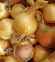 La Ferme de Milly - Anjou - Colis oignions jaunes BIO 10kg