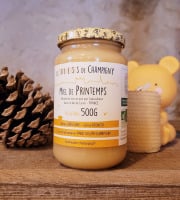 Les Butineuses de Champigny - Miel de Printemps BIO - 500g