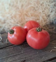 Les Jardins de Gérard - Tomate rose de Berne Bio - 1 kg