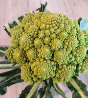 Gourmets de l'Ouest - Chou romanesco de Saint-Malo