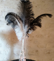 La Ferme Enchantée - Décoration pour table de fête  : 3 plumes d’autruche bicolores