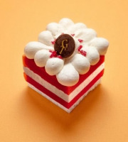 GT Designer Glacier - Vacherin Vanille Framboise Individuel