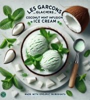 Les Garçons Glaciers - Crème Glacée BIO  Coco menthe fraiche 365ml