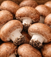 Naturélium - Champignon de Paris brun