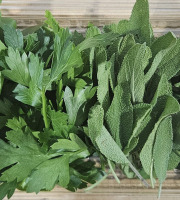 Midiflore - Aromates fraiches pour Cuisine Italienne 40g