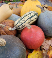 Le Pré de la Rivière - Lot de Courges Bio : 3 variétés différentes minimum 3 Kg - Origine France