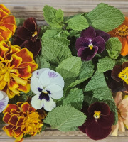Midiflore - Aromates fraiches et fleurs pour Desserts & Fruits 40g