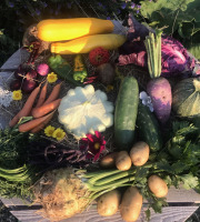 Ferme Sinsac - Panier de légumes  - 10 kg